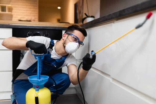 Pest Control for Restaurants in Rouses Point, NY