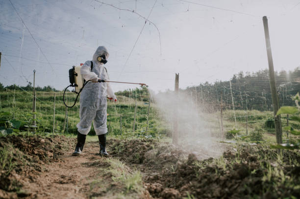 Professional Pest Control in Rouses Point, NY