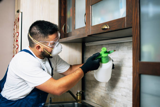 Best Exterminator Services  in Rouses Point, NY