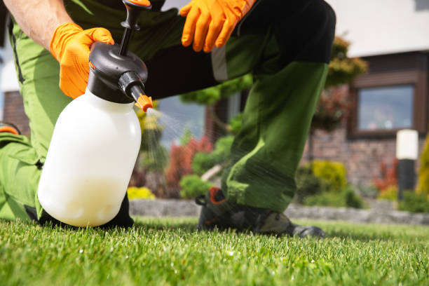 Pest Control Cost in Rouses Point, NY