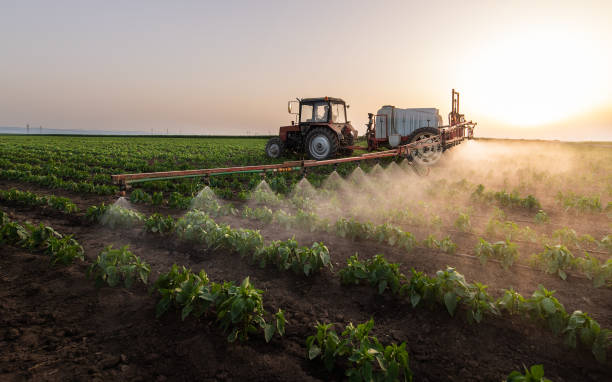 Best Pest Control Cost  in Rouses Point, NY