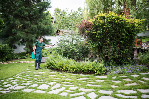 Best Pest Inspection Near Me  in Rouses Point, NY