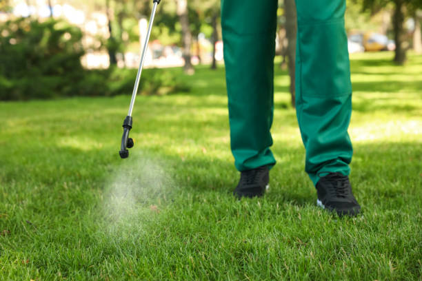 Best Affordable Pest Control Services  in Rouses Point, NY