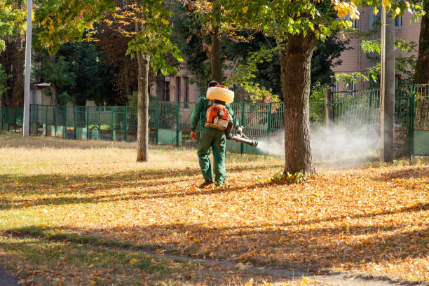 Best Cockroach Control Services  in Rouses Point, NY