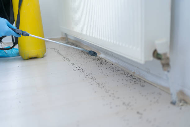 Best Pest Control Near Me in Rouses Point, NY