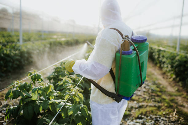 Best Best Pest Control Near Me  in Rouses Point, NY